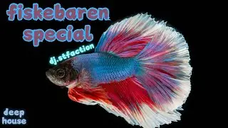 fiskebaren special by dj.stfaction | 1 hour house set | dj set