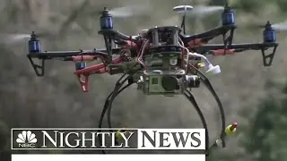 Drone Crashes Over White House Fence | NBC Nightly News