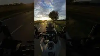 balade tiger 900 rally pro #motards #pourtoi #ridesafe #triumph