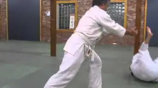 First Class in the New Dojo ( Part 1 of 3 )