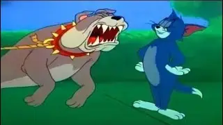 Tom and Jerry 2018 | Dog Trouble + Jolly Friends Pet Oasis | Cartoon For Kids