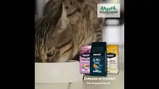 K kattemat reklame