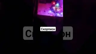 #2024 #tiktok #тикток #елка #имена#я