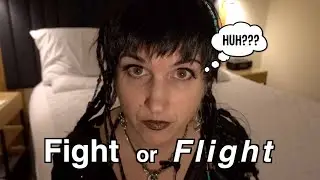 Amygdala, Fight or Flight Explained (sort of)