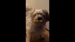 Lil' Brab - Jennifer Tilly [Official Lyric Video]