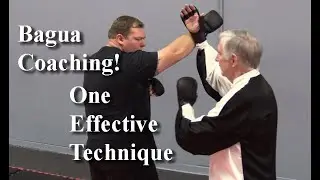 Bagua Technique vs Punch