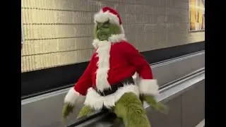 Atlanta Best Grinch for Hire | Corporate Holiday Events #grinch #christmas #entertainment #cosplay