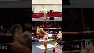kickboxing technique #martialarts #kungfu #sanda#wushu#kickboxing