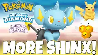 How To Increase Shinx Spawn Rate in Pokemon Brilliant Diamond & Shining Pearl #BDSP