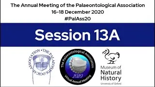 #PalAss20 Session 13A