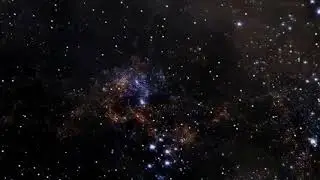 CyberFox
