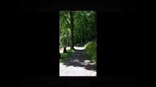 The Hiienkoskis+Thomas.O.Karlsson/Kärleksvisa med slutna ögon