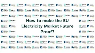 &ldquo;How to make the EU Electricity Market Future Proof&rdquo;