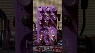 Endless possibilities in this little box. #patchandrelease #ambient #guitar #mood