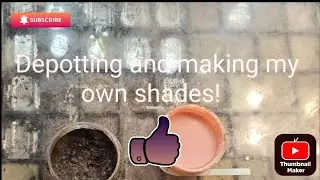 Depotting my eyeshadow palette, mixing making my own shades##projectpanning #depotting