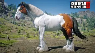 John Marston Discovers a Beautiful Huge Gypsy Cob Horse at Diablo Ridge | RDR2