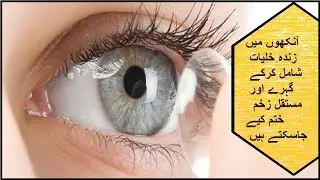 Kinetic Lens developed For Damage Eye Lens | آنکھوں کے گہرے اور مستقل زخم ختم کیے جاسکتے ہیں