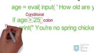 Conditionals and Loops in Python