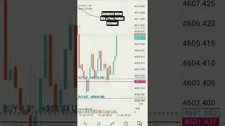 forex trading why most traders fail #forextrading