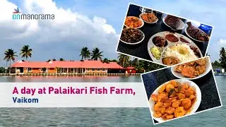 A day at Matsyafed Palaikari Fish Farm, Vaikom