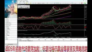 2026年金融市场振幅更加剧烈；标普比特币黄金等展望与策略思路；第646期