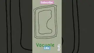 Drawing plant cell structure| Botany/Biology|science