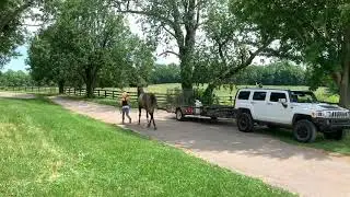 Grey Ransom jog 6/16/20