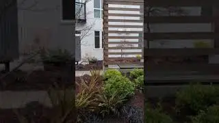 The Oasis Courtyard (from unit)