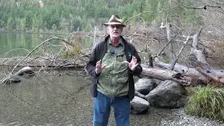 Time Bites: The Cameron Lake Monster