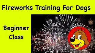 Dog Training For Firework 💖 Desensitisation To Help Dogs Cope With Loud  Bangs