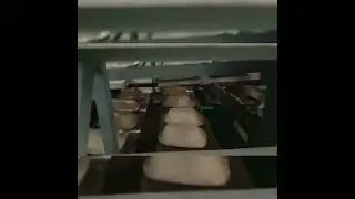 4x4 kidney trays making machine production line with metal dryer