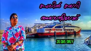 20 ദിർഹംസിനു കപ്പലിൽ കയറി കടല് കടന്നു ദീപിലേക്കു. DELMA ISLAND ABUDHABI. PLACES TO VISIT IN DELMA.