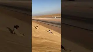 Where the desert becomes a playground ✨Saudi Arabia #fun #play  #desert #shortvideo #short #saudi