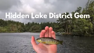 Lake District Fly & Lure Fishing - Stunning Hidden Gem