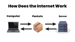 How Does the Internet Work? A Beginner's Guide to the World Wide Web