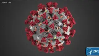 CDC labels COVID delta variant a 'variant of concern'