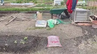 Allotment 30-Apr-2021