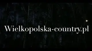 Portal regionalny www.wielkopolska-country.pl