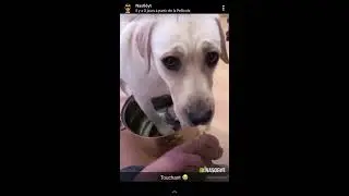 Nas 06 videos droles humour nas06YT