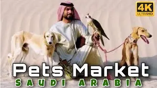 【4K】Pets Market | Aziziyah | Riyadh | Saudi Arabia