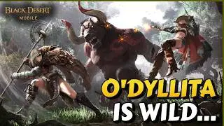 Одилита (Новый регион) &mdash; всё, что вам нужно знать!【Black Desert Mobile】