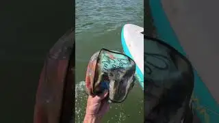 Bag with wallet found in the river. Find out what was inside @DiveSquadAdventures