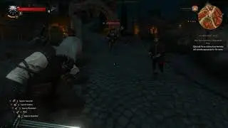 The elegant fighting style of a Manticore witcher