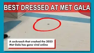 THE MET GALA: Hollywood's best dressed roach wins over crowd