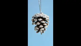 Frosted Pinecones ✨