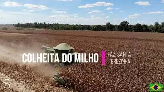 Colheita de Milho 2021