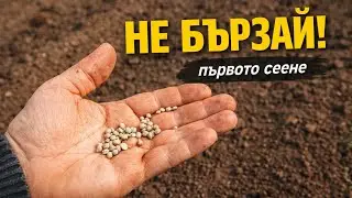 Първите неща, които сея напролет | Без бързане