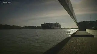Port of Savannah backlog clearing
