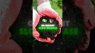 Budget Turf Hacks for Brisbane Lawns! 🌱💰