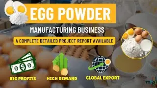 EGG Powder Manufacturing - Process Flow and Plant Layout | Investments | Project Cost & ROI | DPR